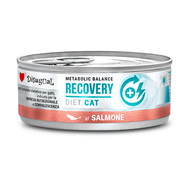 Alimento Húmedo Para Gato Disugual Dieta De Recuperación Salmón Lata 85 g